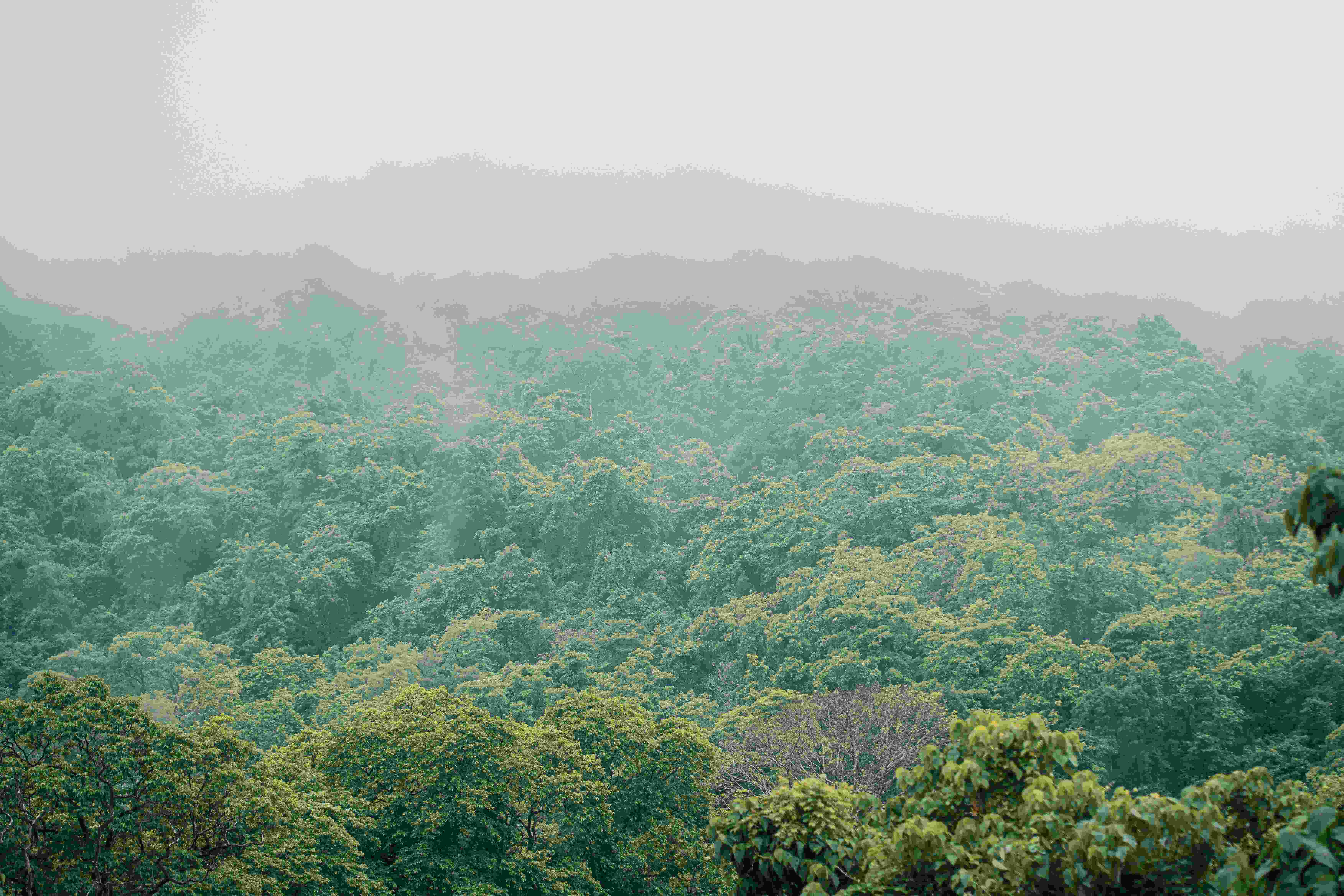 dudhsagar falls goa